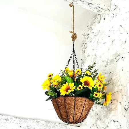 Appartement Loft B El Ramellet *