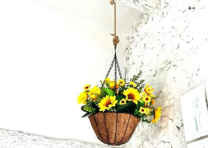 Appartement Loft B El Ramellet *